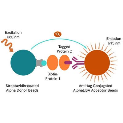 AlphaLISA Human TNF-α / TNFR2 Binding Kit, 500 Assay Points | Revvity