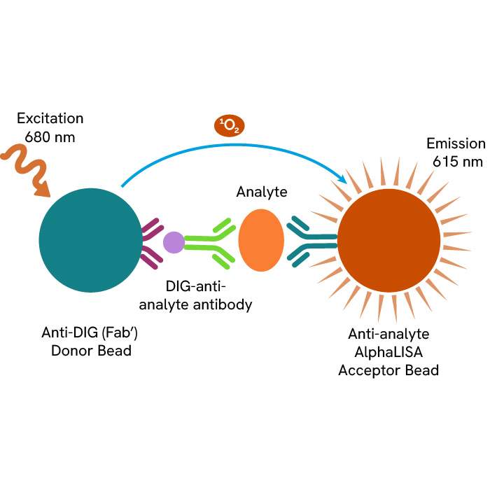 AlphaLISA Biotin-Free Human TGF-β1 Detection Kit, 500 Assay Points ...