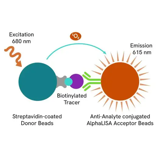 AlphaLISA Competition Anti-anlyate Conjugated Acceptor Bead image