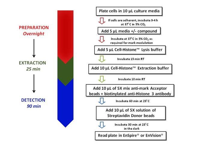 alphalisa-epigenetic-cellular-assays-fig2