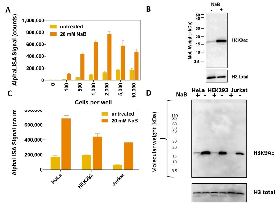 alphalisa-epigenetic-cellular-assays-fig3