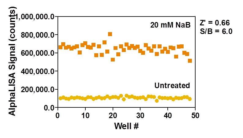 alphalisa-epigenetic-cellular-assays-fig6