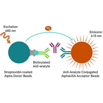 IgG (mouse) AlphaLISA Detection Kit