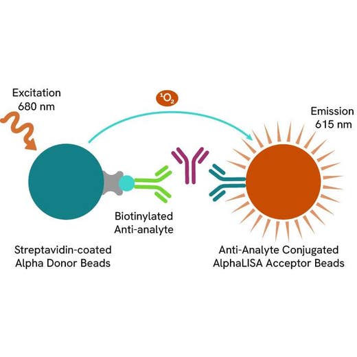 IgG (mouse) AlphaLISA Detection Kit