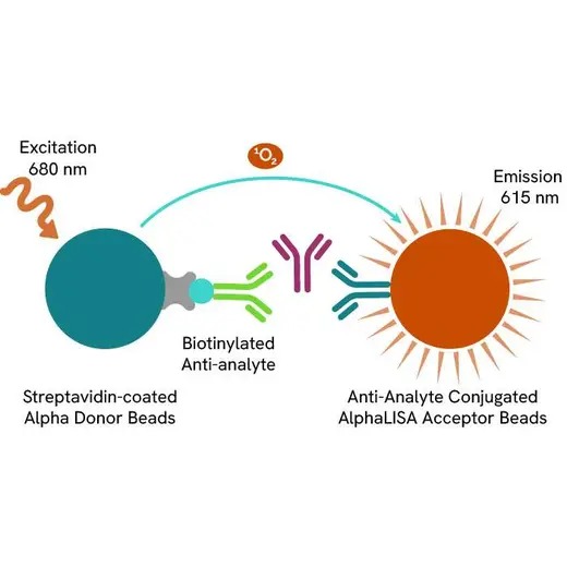 IgG (mouse) AlphaLISA Detection Kit