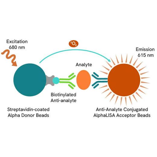 AlphaLISA Human Amyloid β 1-42 Detection Kit, 5,000 Assay Points | Revvity