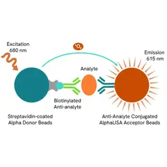 AlphaLISA Sandwich Anti-analyte Conjugated Acceptor Bead image