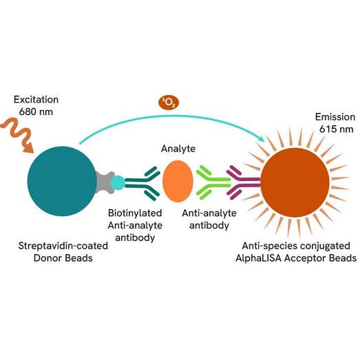 AlphaLISA Detection Kit