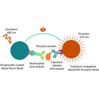 AlphaLISA SureFire Ultra Phospho-Protein image