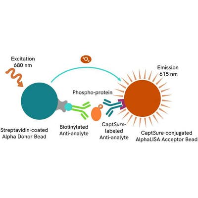 AlphaLISA SureFire Ultra Phospho-Protein image