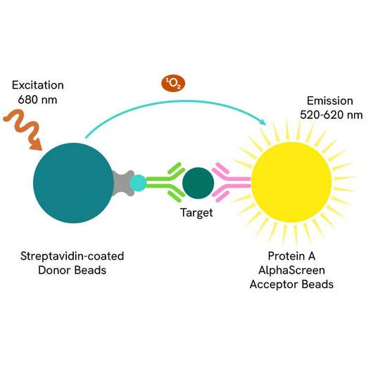 AlphaScreen fluorescein detection kit image