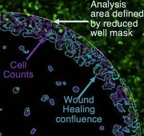 analysis area defined by reduced by well mask