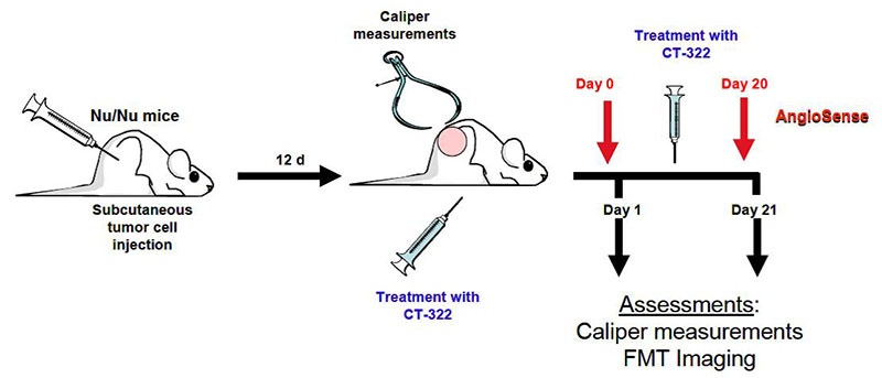 angiogenesis-fig1