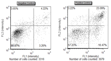 Fluorescent Intensity Data Plots