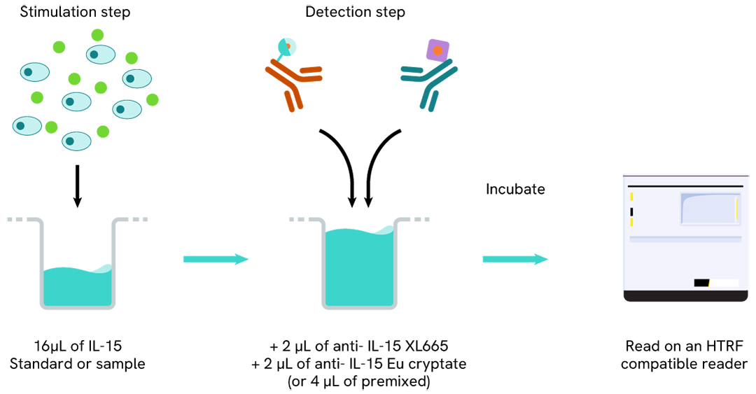 Principle of the HTRF Human IL15 assay