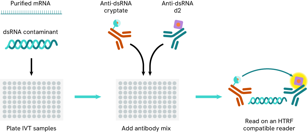 assay principle