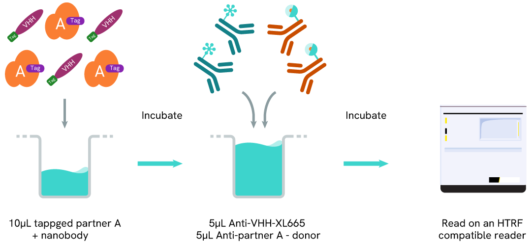 assay protocol Anti-VHH XL665