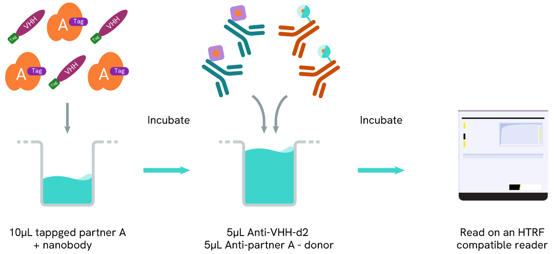 assay protocol Anti-VHH d2