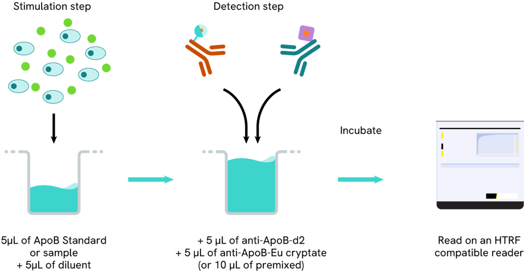 Principle of the HTRF ApoB assay