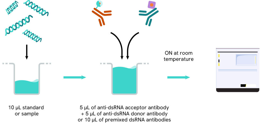 assay protocol