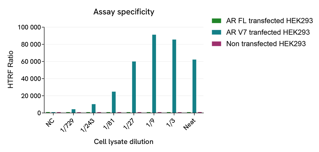 Specificity of Androgen receptor variant 7 on HEK293 transfected cells