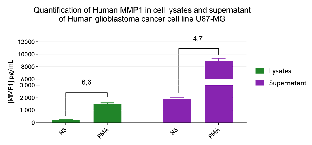 Validation of HTRF Human MMP1 kit on U87-MG cell line in cell lysates and supernatant