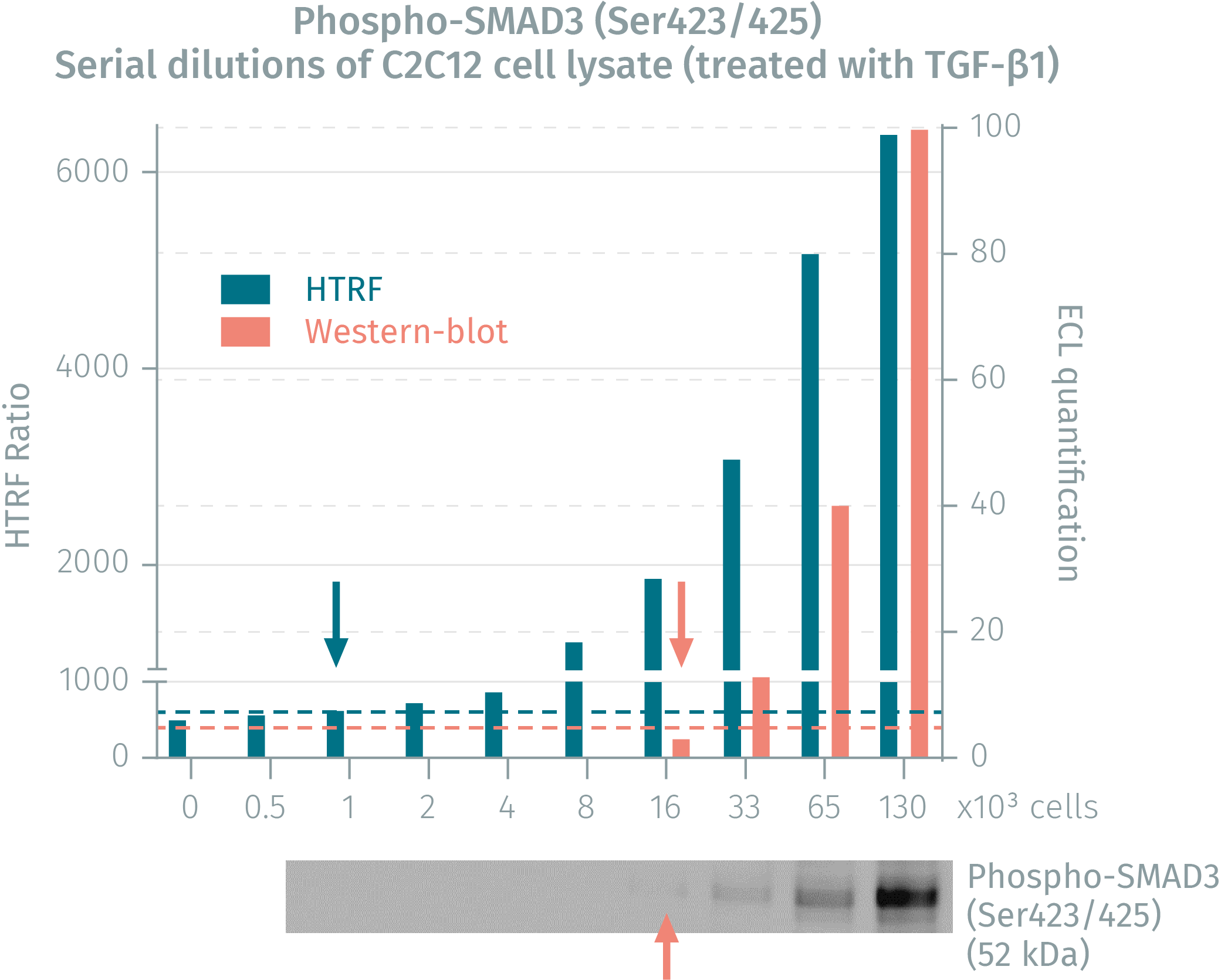 assay-validation-1.png