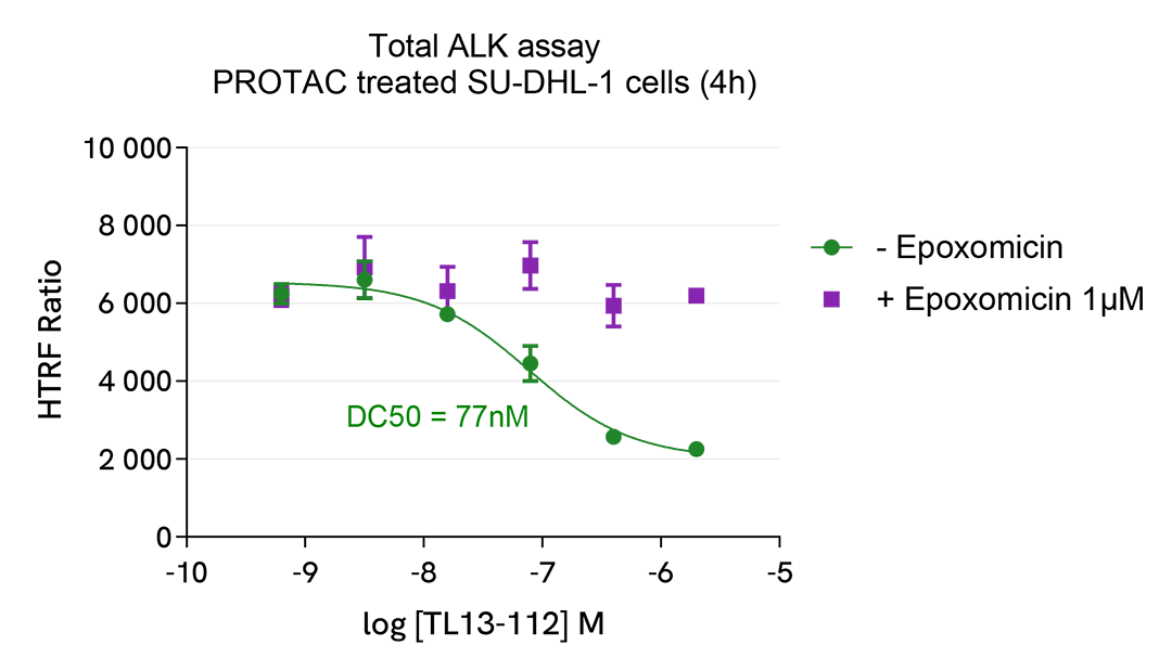 Pharmacological Validation of Total ALK