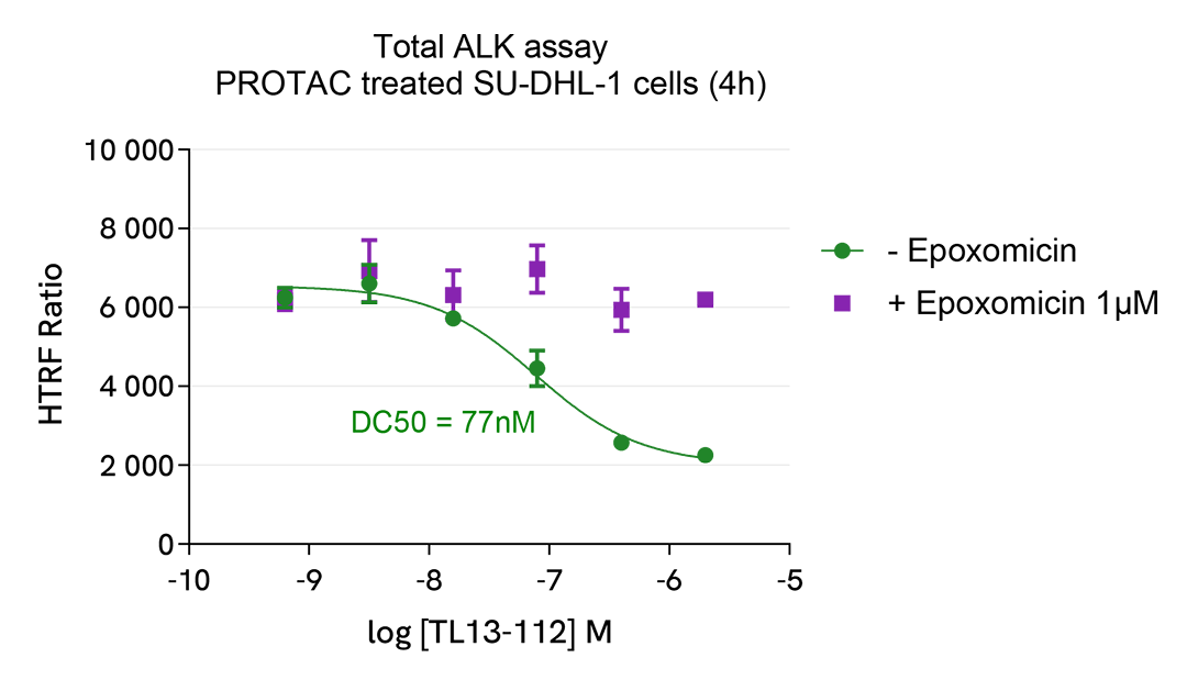 Pharmacological Validation of Total ALK