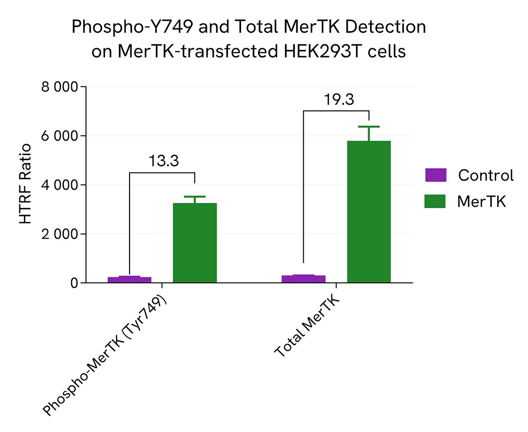 assay validation