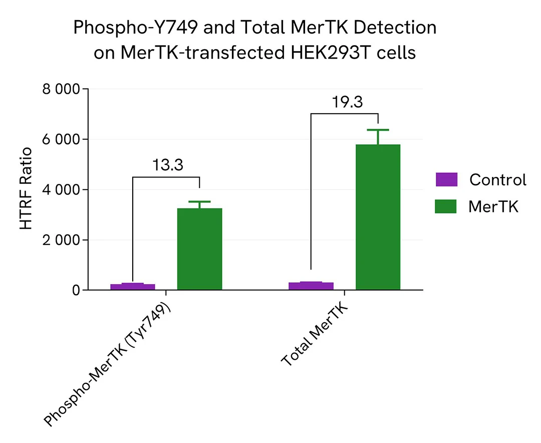 assay validation