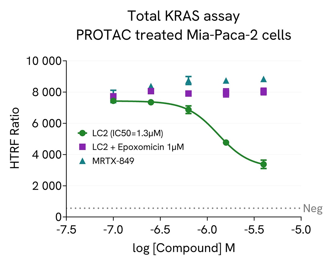 assay validation