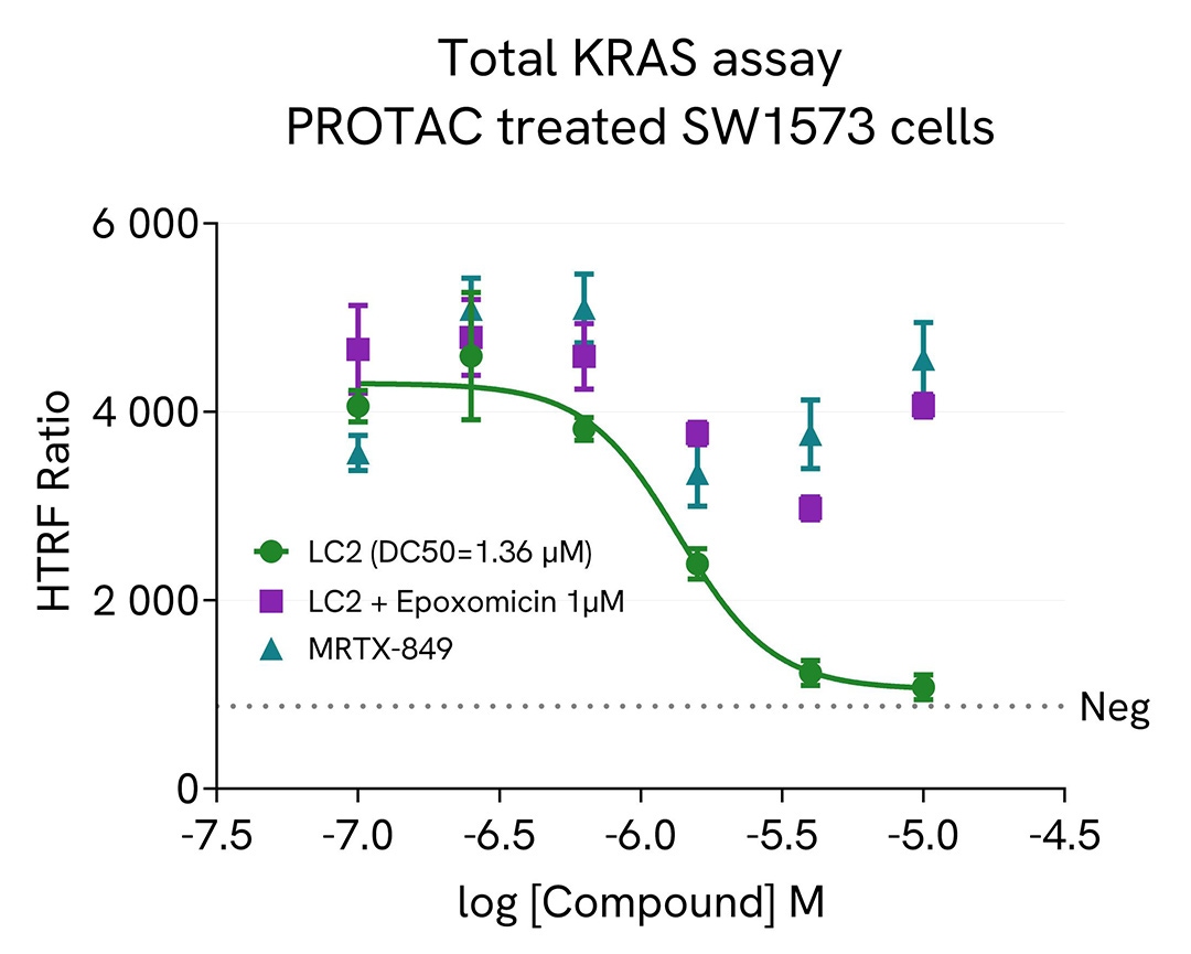 assay validation