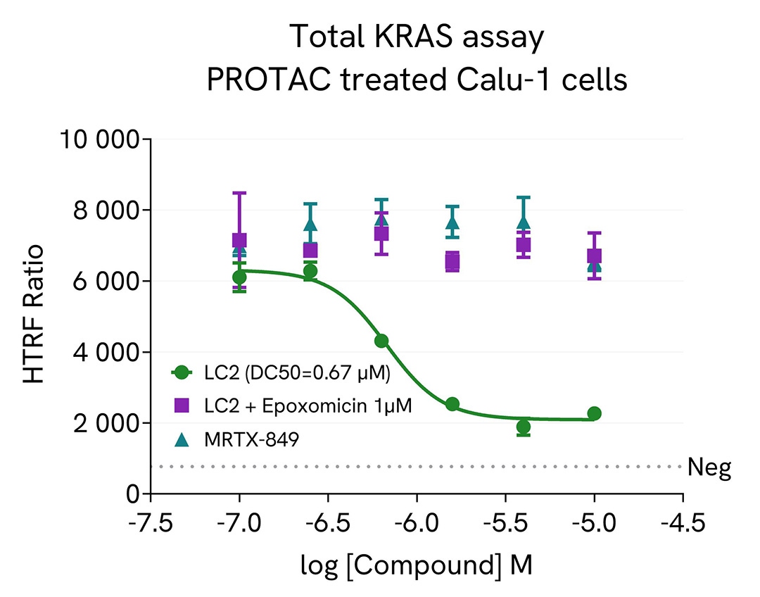 assay validation