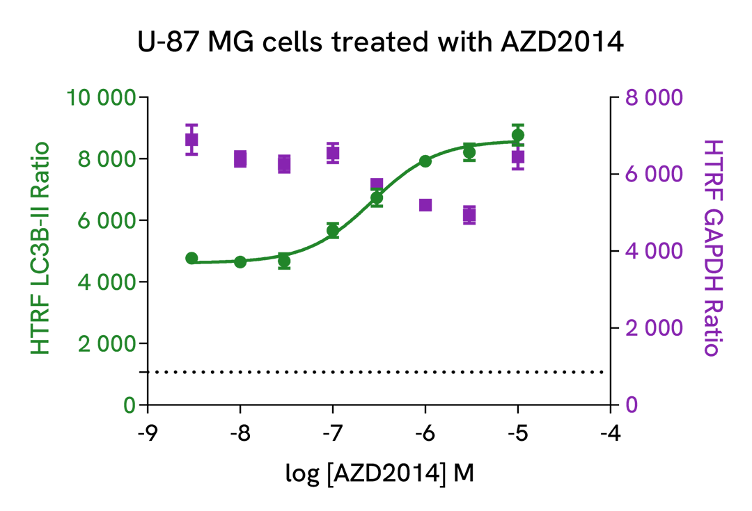 HTRF LC3B II positive modulation using AZD2014