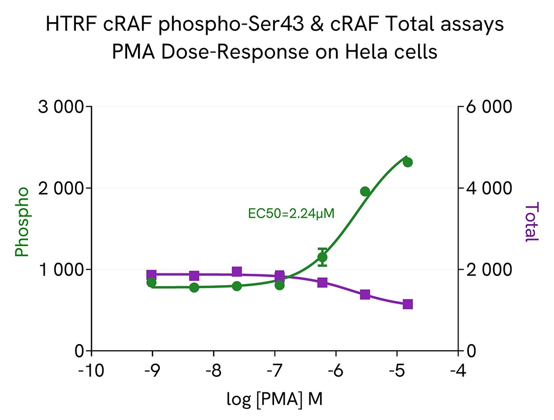 assay validation