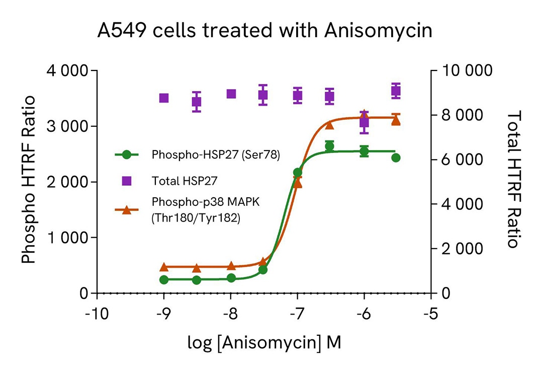 assay validation