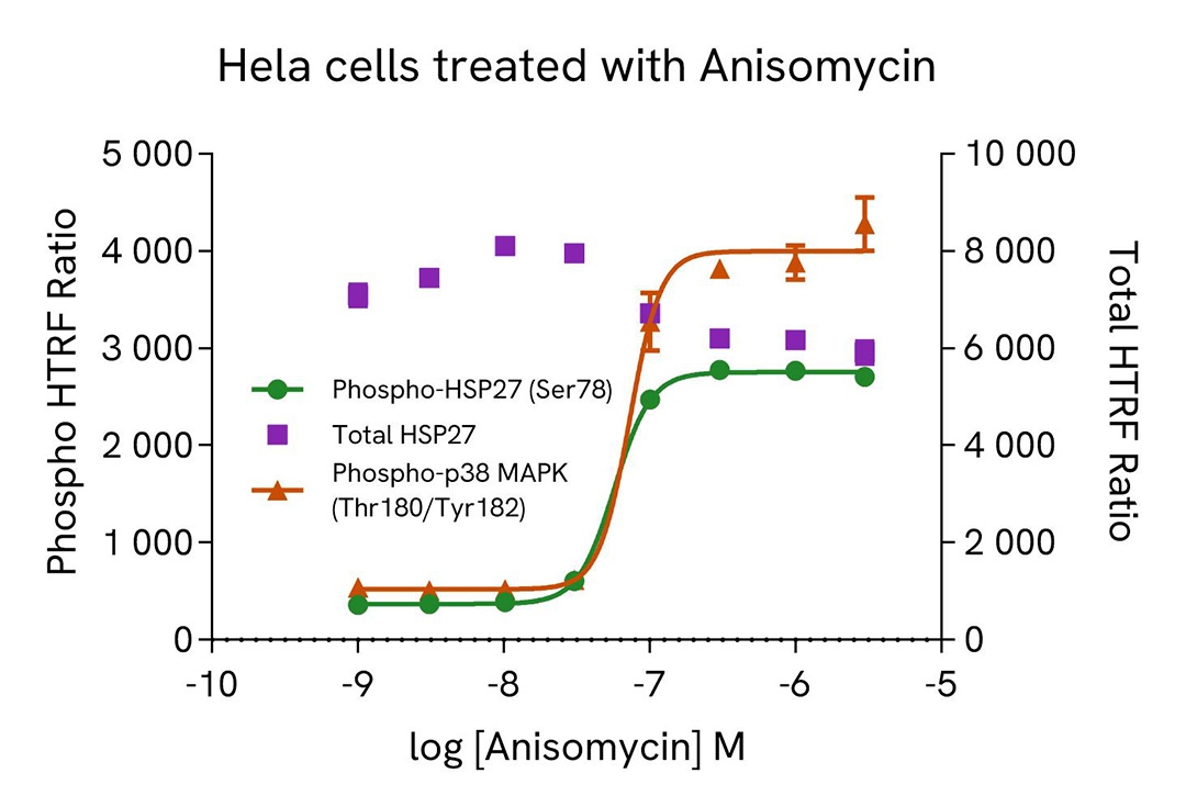 assay validation