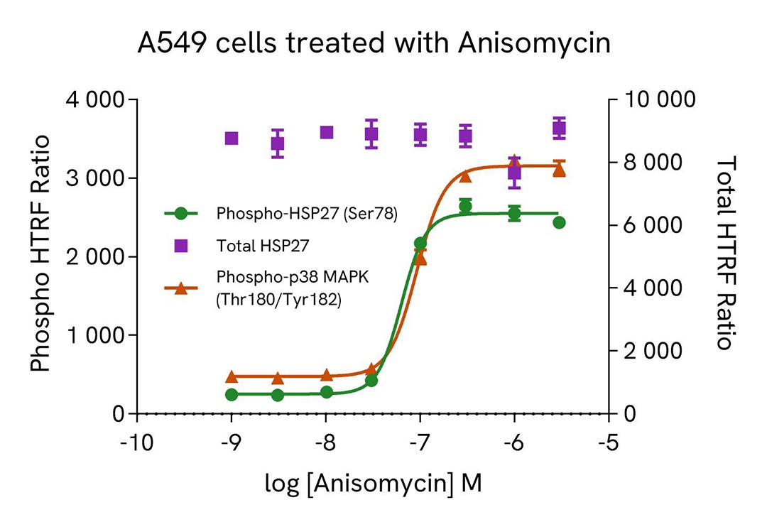 assay validation