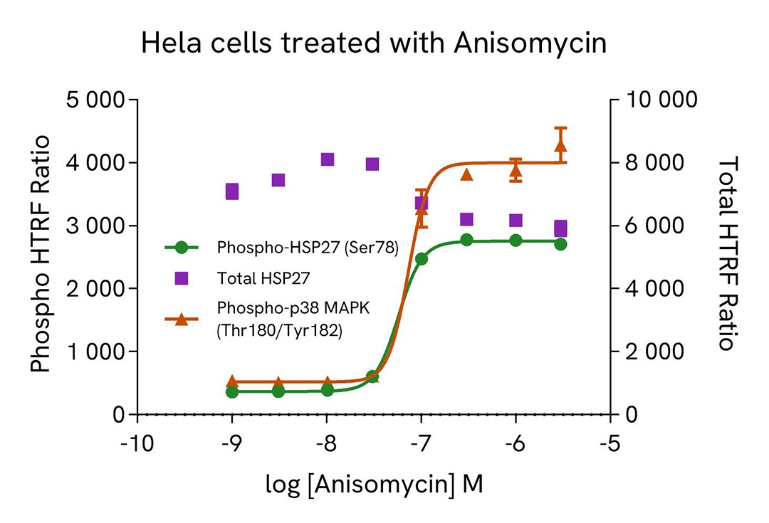 assay validation
