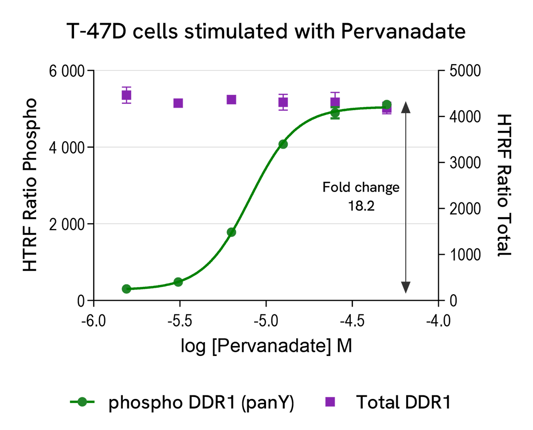 Pharmacological Validation (activator) of Phospho-DDR1 (panTyr)