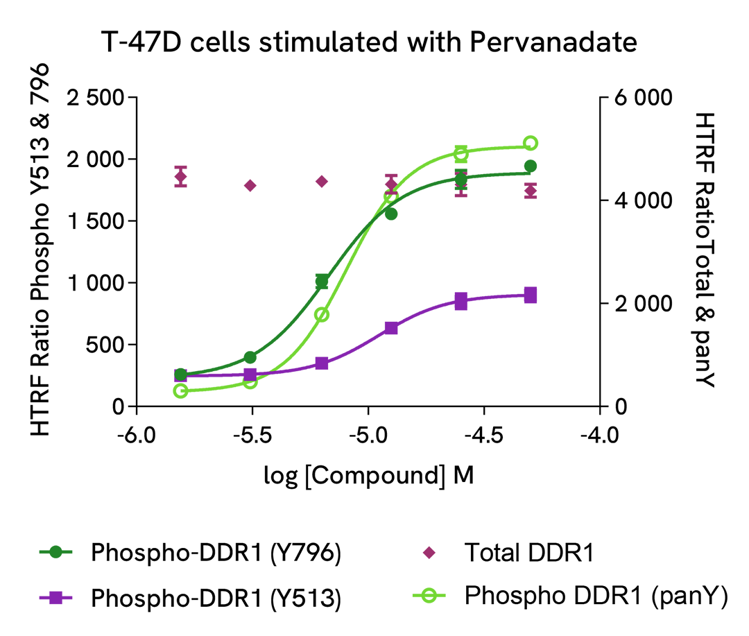 Pharmacological Validation (activator) of Phospho & Total DDR1