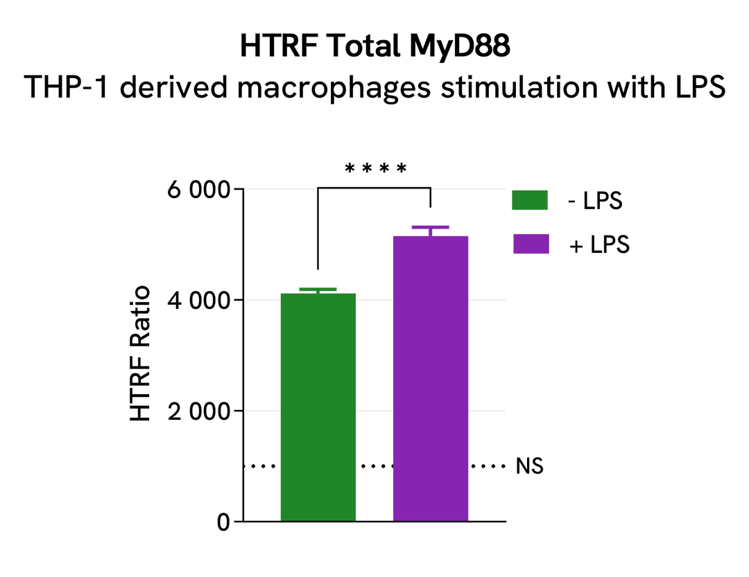 Pharmacological Validation (activator) of Total MYD88