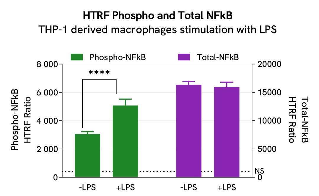 Pharmacological Validation (activator) of Total MYD88