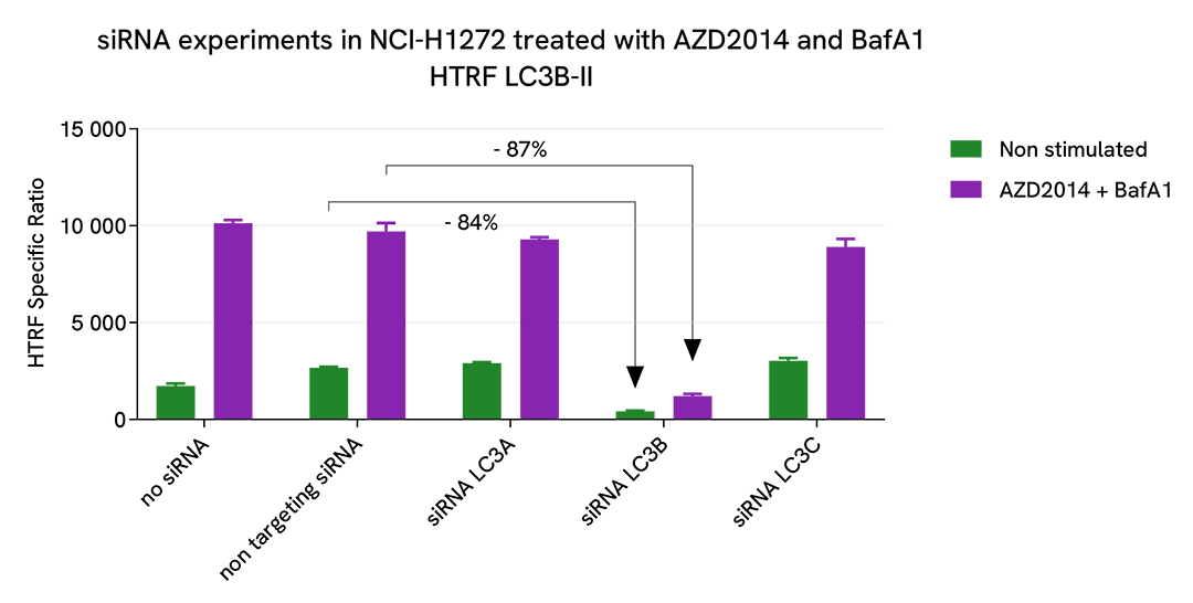 HTRF Specificity of LC3B II assay using siRNA