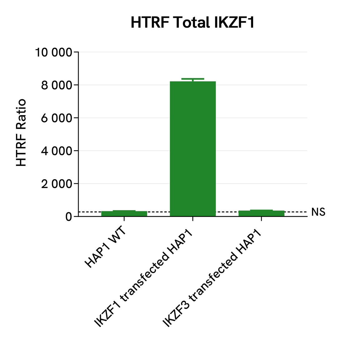 HTRF Specificity and selectivity Total IKZF1 assay using cell transfection