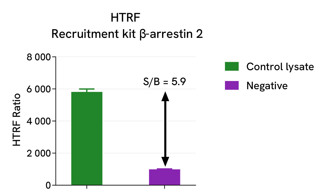 Signal to background of Beta-Arrestin2 Recruitment Control Lysate