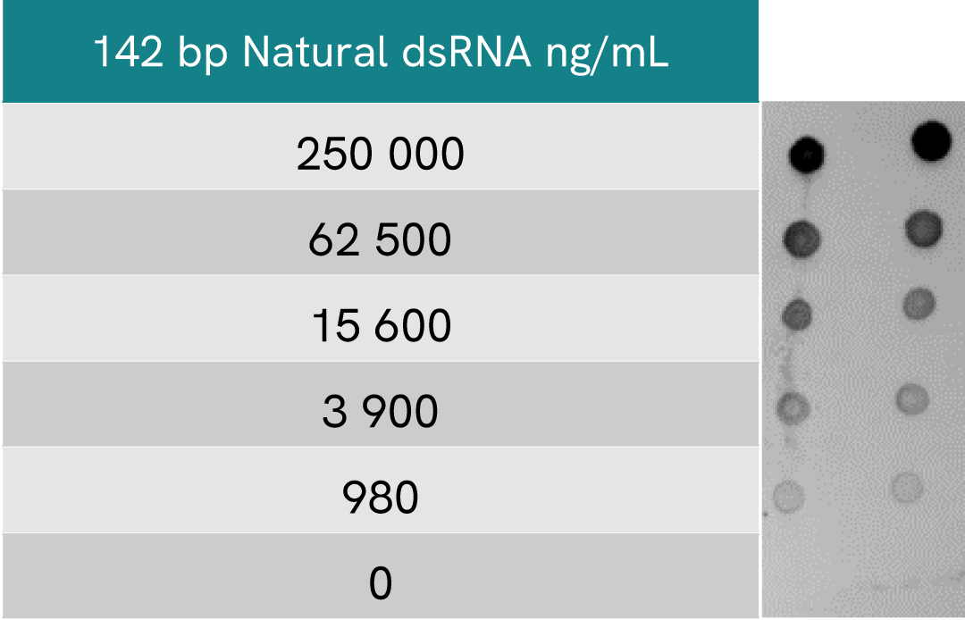 assay validation