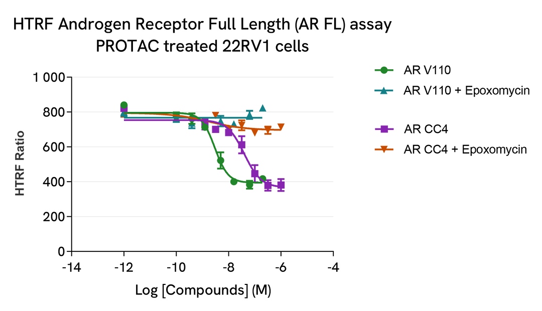 HTRF Androgen receptor Full Length, androgen receptor variant 7 ARV7 & total Androgen receptor  on 22RV1 cells 