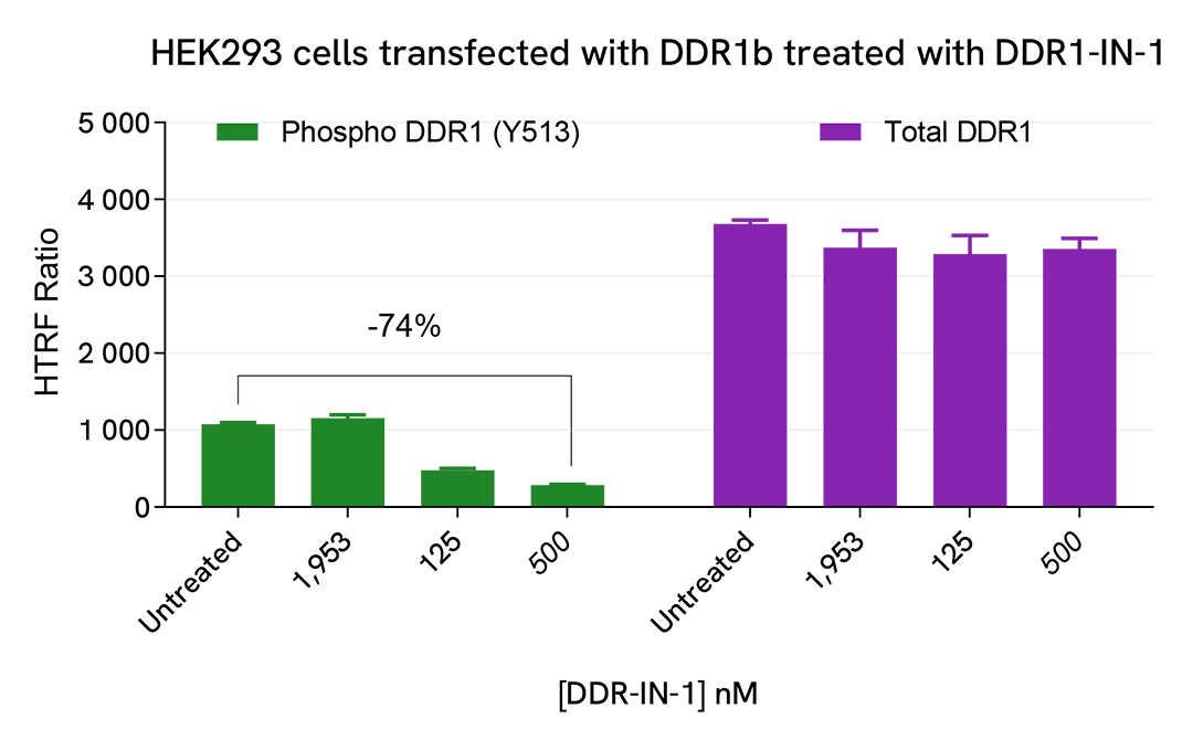 Pharmacological Validation (inhibitor) of Phospho-DDR1 (Tyr513) 
